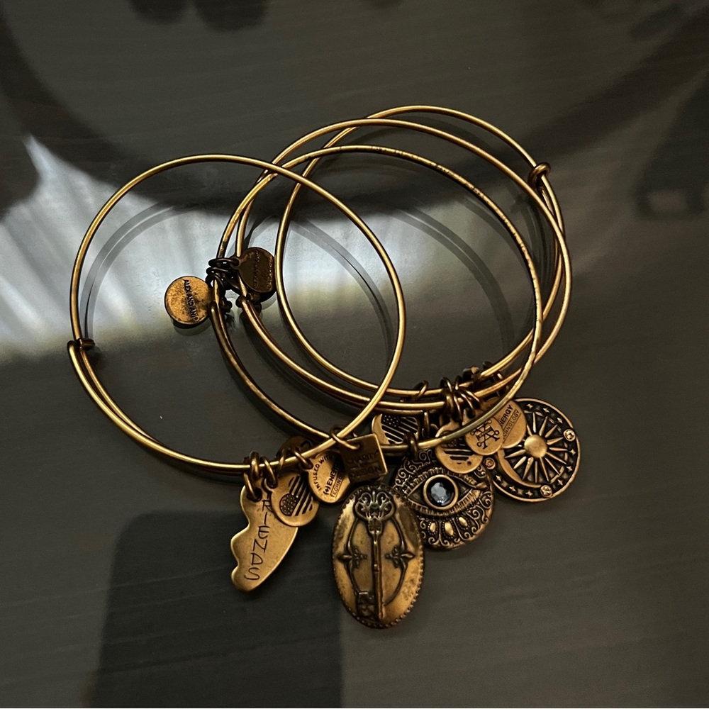 Alex & Ani Charm Bangle Set